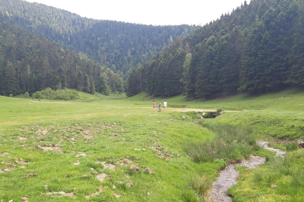 La Cabane Du Cerf A Payolle 캄팡 외부 사진